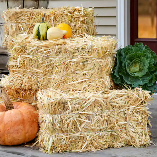 Mini Hay Bales/Apple Crates